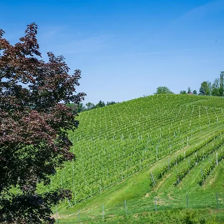 Gæstehus Residenz Styrian Toskana Splendid 4*