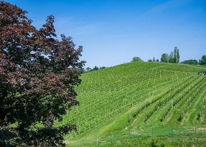 بيت ضيافة Residenz Styrian Toskana Splendid 4*